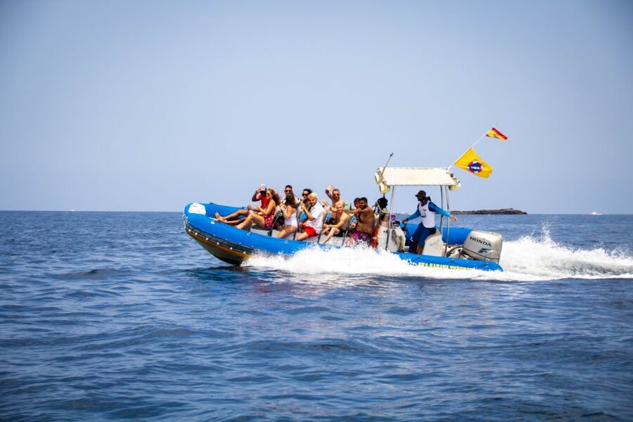 Puerto Colon: Dolphin and Whale Watching Speedboat Cruise - The bay swim stop: where the “marine safari” becomes your beach break