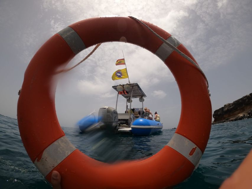 Puerto Colon: Dolphin and Whale Watching Speedboat Cruise - Captain Nico, the guide, and how the narration elevates the trip
