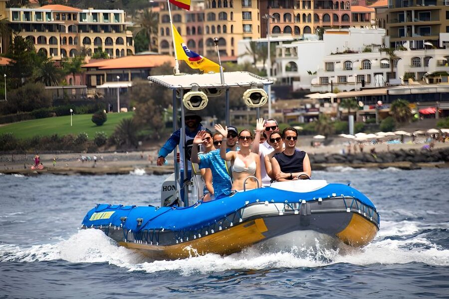 Puerto Colon: Dolphin and Whale Watching Speedboat Tour - Key highlights worth your attention