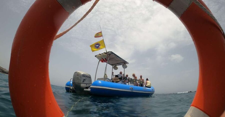 Puerto Colon: Dolphin and Whale Watching Speedboat Tour - Puerto Colón speedboat tours: what makes this one feel different