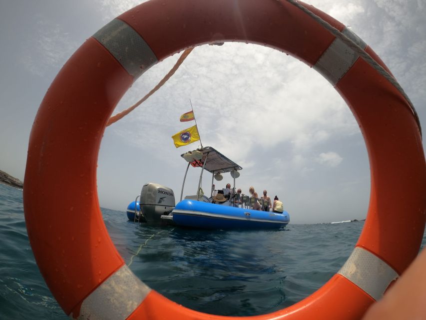 Puerto Colon: Dolphin and Whale Watching Speedboat Tour - From harbor to open Atlantic: how the 2-hour wildlife search works