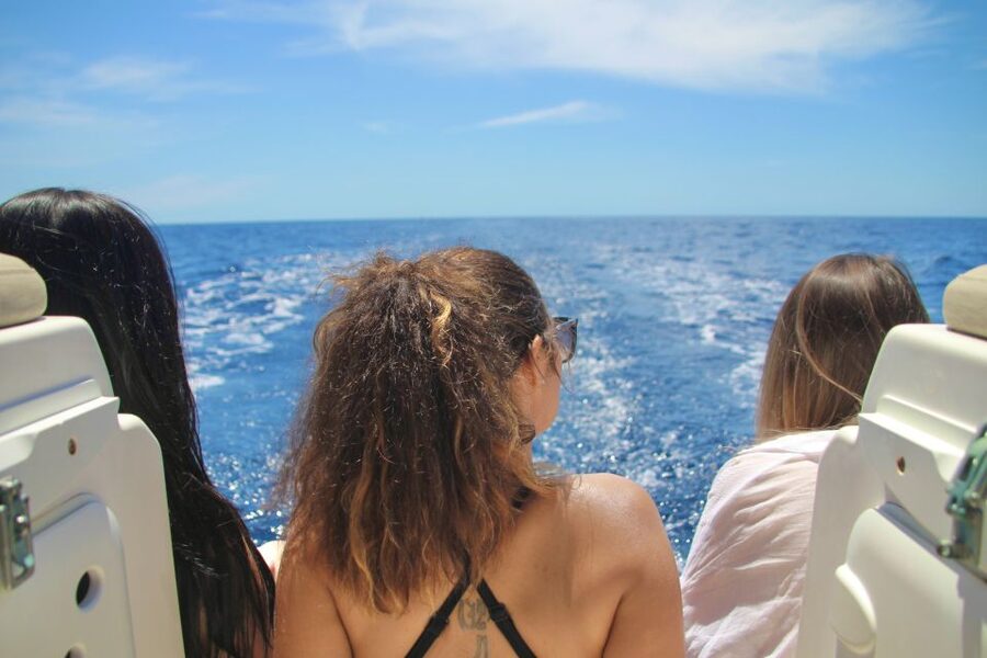 Puerto Colon : Whale & Dolphins Sailing Excursion - Key things to know before you go