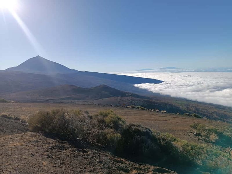Puerto Cruz: VIP Teide Sunset & Stars, Guachiche Lunch+Cava - Should you book Puerto Cruz VIP Teide Sunset & Stars with Guachinche lunch?