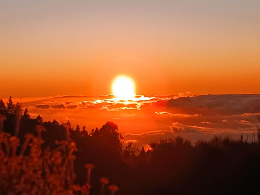 Puerto Cruz: VIP Teide Sunset & Stars, Guachiche Lunch+Cava - El Portillo visitor area: the coffee and reset before the night sky