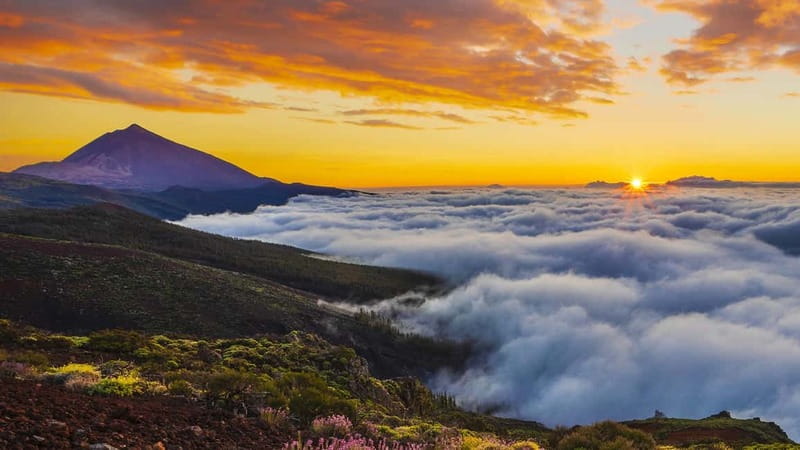 Puerto Cruz: VIP Teide Sunset & Stars, Guachiche Lunch+Cava - Mount Teide stargazing: constellations, timing, and the night-sky payoff
