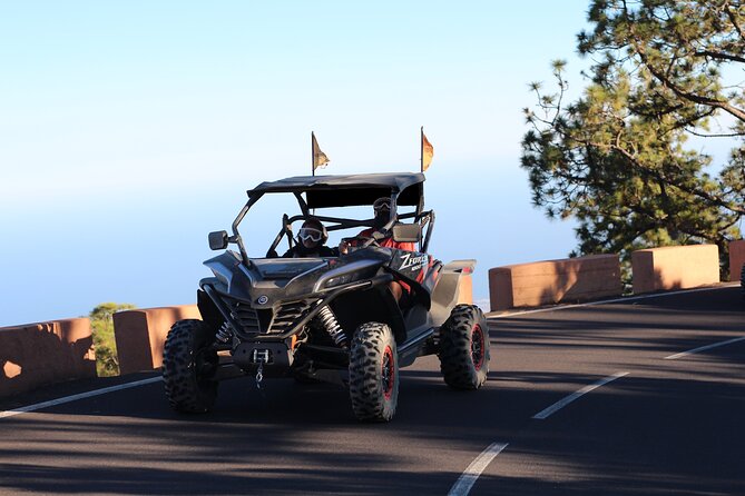 Puerto de la Cruz: Buggy Teide Day National Park - Stop 3, Teide National Park: one hour at the base of the giant