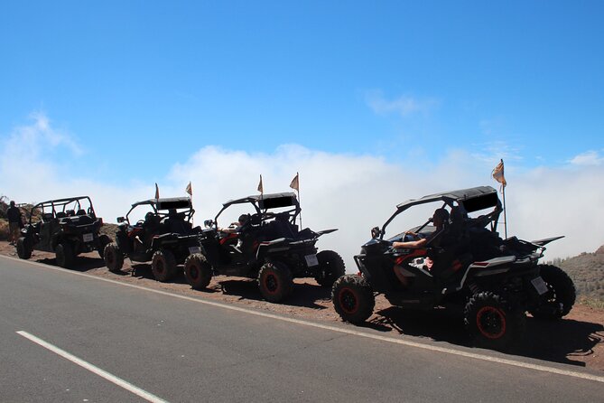 Puerto de la Cruz: Buggy Teide Day National Park - Gear included: what it helps with on Tenerife’s high roads