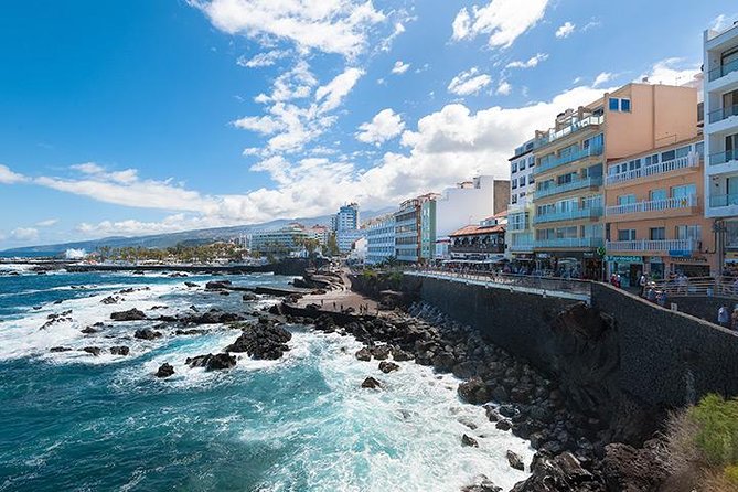 Puerto de la Cruz City Tour with Transfers - Price and Logistics: What You Pay for an 8-Hour North Tenerife Day