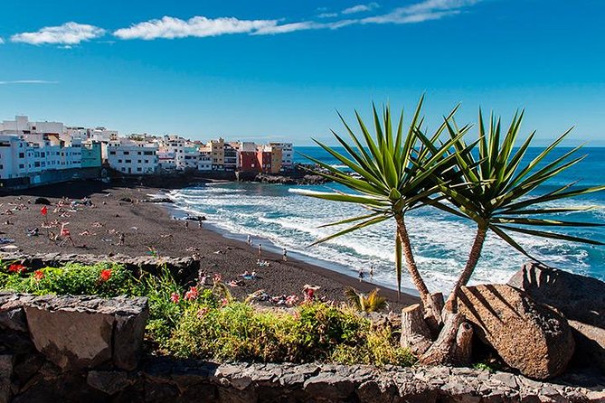 Puerto de la Cruz City Tour with Transfers - Plaza del Charco, the Puddle Square for Quick Orientation