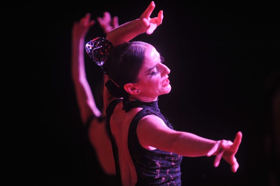Puerto de la Cruz: Flamenco Show at Casa Ábaco with a Drink - What you’ll see onstage: dancers, live vocals, and guitar