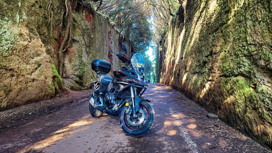 Puerto de la Cruz Motorbike tour through Teide National Park - License Types and Bike Choice: A, A2, or Scooter on a B License