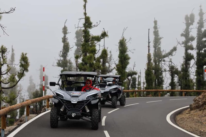 Puerto de la Cruz: Teide National Park Buggy Tour - Key things I’d watch for
