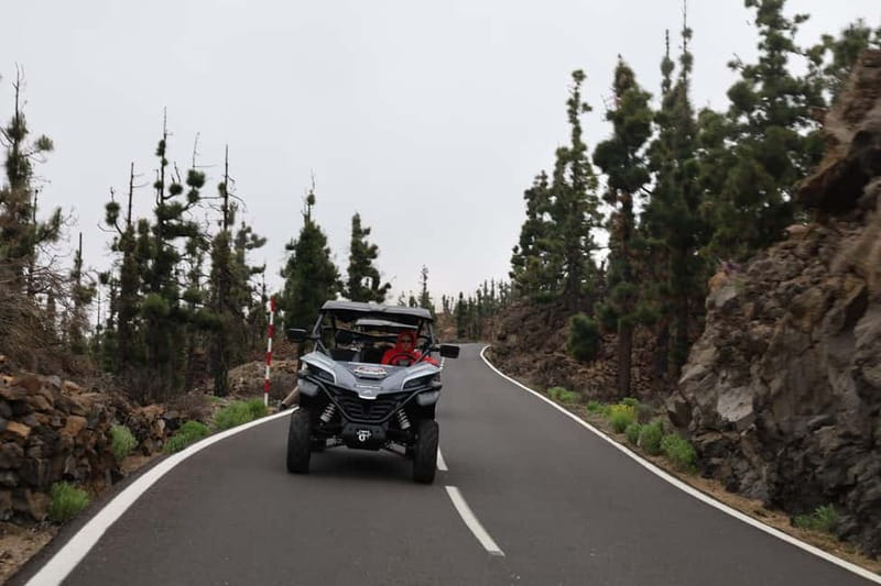Puerto de la Cruz: Teide National Park Buggy Tour - Price and Value: What $211 Really Buys You