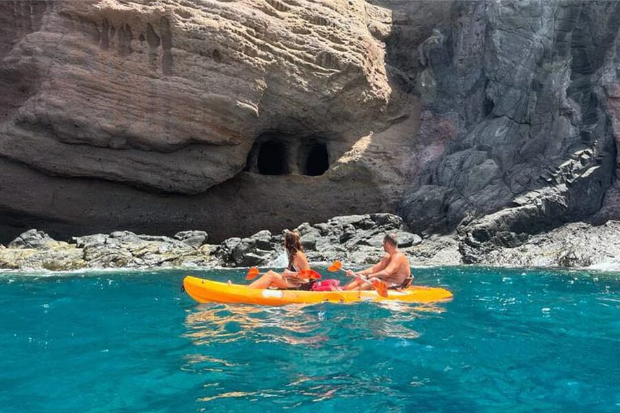 Punta de Teno: Kayak Safari overlooking Los Gigantes Cliffs - The Guide Factor, Geology and Marine Life You Can Use