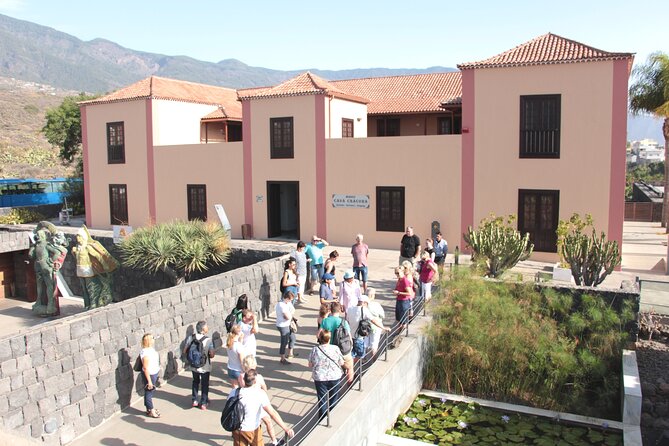 Pyramids of Güímar SIMPLE Ticket - Botanical Route and the garden areas you’ll want to slow down for