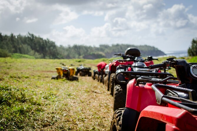 QOOAD: Daily Quad Rental in Las Americas Tenerife - Who this quad rental fits best