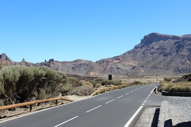 Quad Tour to the Teide National Park (3.5H) - Price check: is $192.04 per group good value?