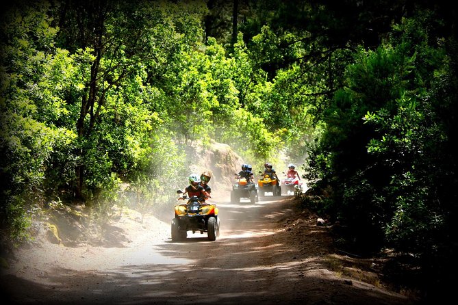 Quad Tour Volcano Teide Adventure - Entering Teide National Park: volcanic driving and iconic rugged terrain