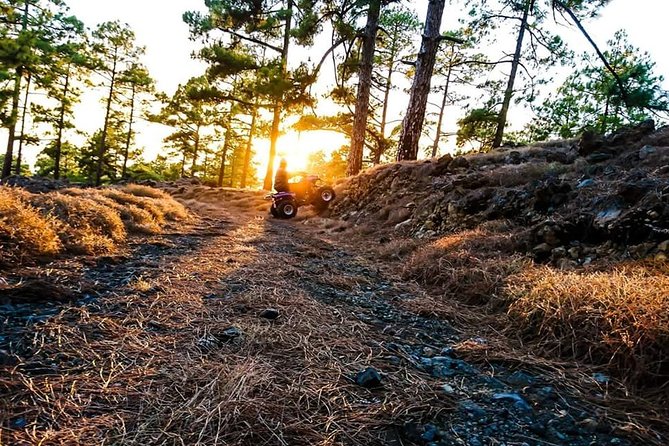 Quad Tour Volcano Teide Adventure - The altitude shift: from inland travel toward higher ground
