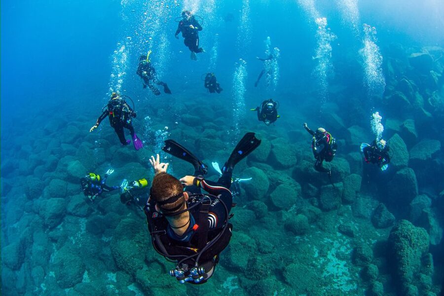 Radazul: Diving Trip in Radazul Bay with Drinks - Key highlights to know before you go