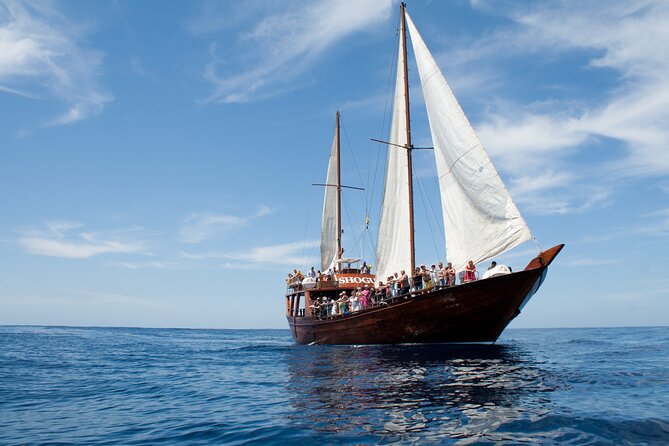 Respectful Whale Watching on a Wooden Boat and Swim - Getting There at Shogun Boat in Costa Adeje