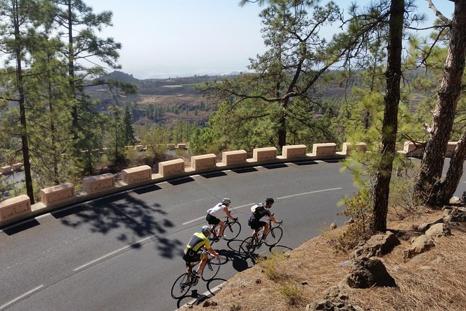 Road Cycling Tenerife - Teide Route - Price and value: what $111.98 buys you