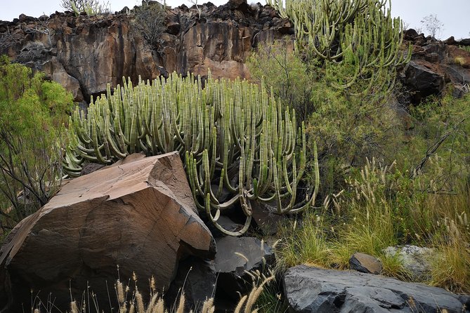 Rock climbing in natural space. - Weather matters more than you might think