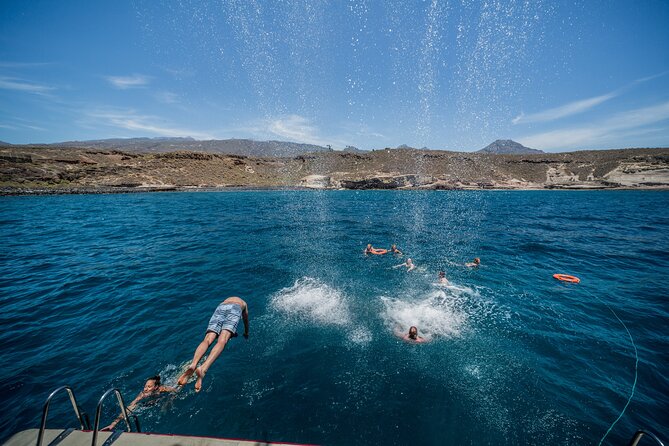 Royal Delfin 3H Dolphin & Whale Watching! Swimming & Lunch! - Who should book Royal Delfin in Tenerife