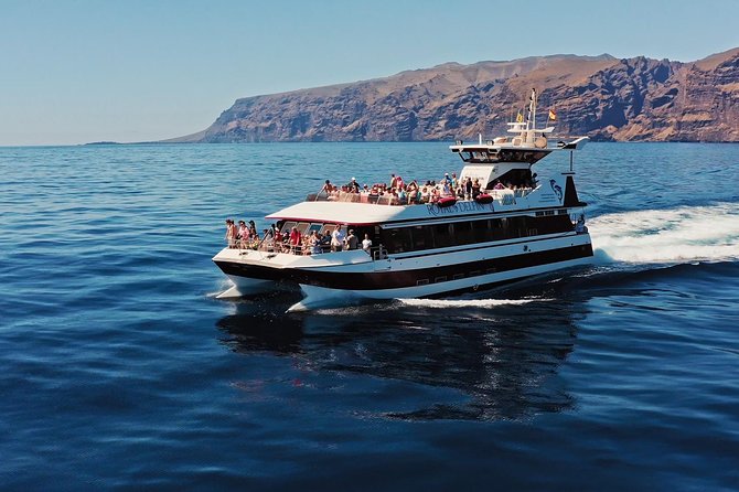 Royal Delfin - 4'5H Dolphin & Whale Watching - Los Gigantes Masca - Lunch & Swim - The 2:00 pm Start, the Coastal Route, and What It Means for Your Day
