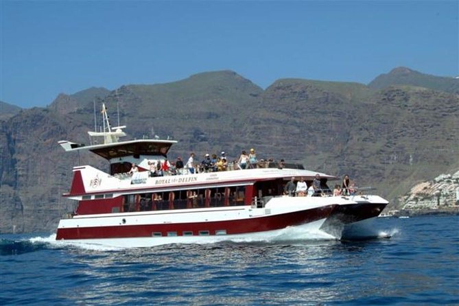 Royal Dolphin Whale watching excursion - Getting comfortable, seasickness, and photo strategy