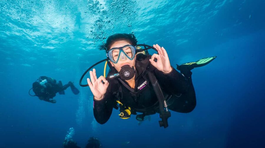 S. Tenerife: 2 Dives for Beginners (Beach + Boat Experience) - How the 5 Hour Beginner Scuba Day Works in Tenerife