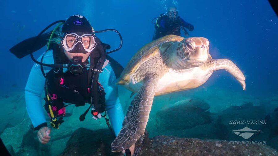 S. Tenerife: 2 Dives for Beginners (Beach + Boat Experience) - The Break That Saves the Day