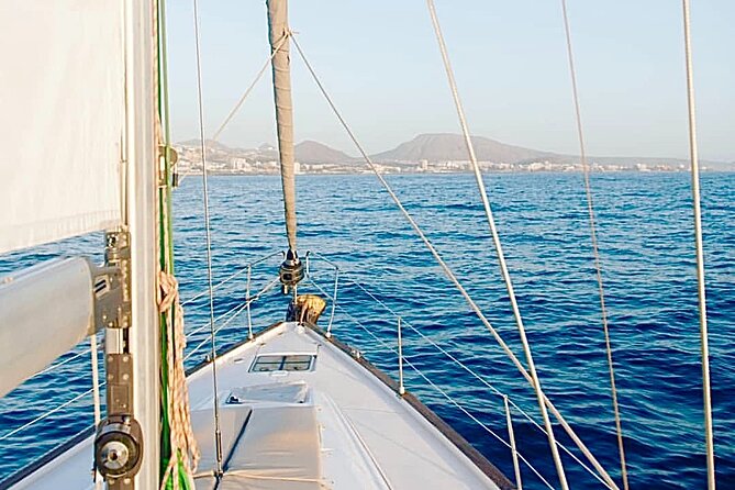 SAILING YACHT EXCURSION TOUR, Food & Drinks included! - Dolphins and Whales Plus Real Time on the Water