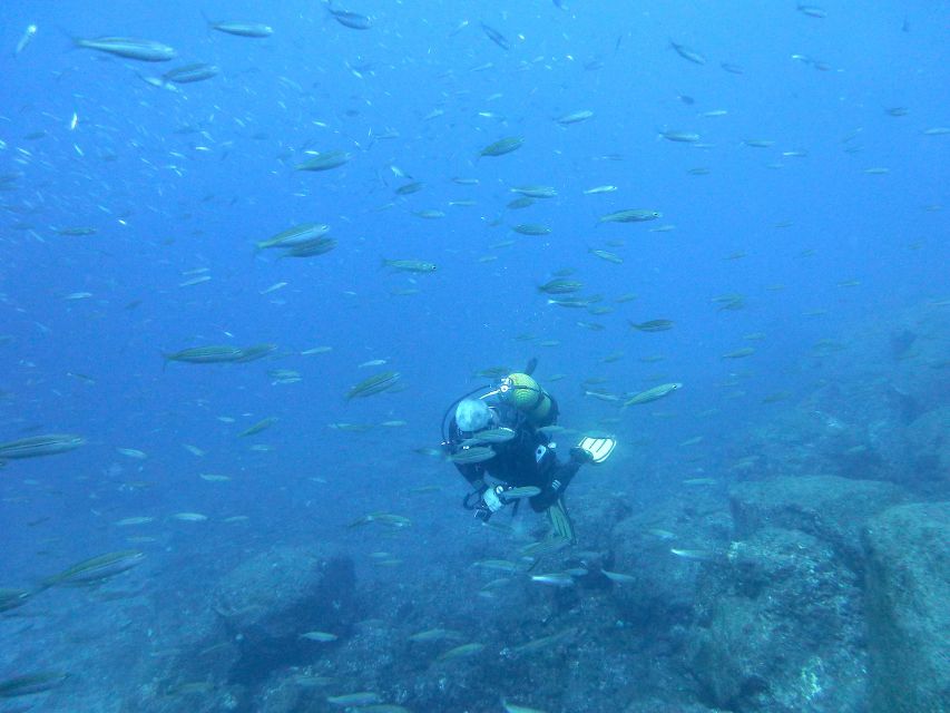 San Miguel de Abona: 2–Dive Package - The visibility and sites: what you should expect to see