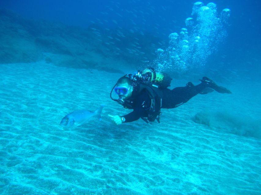 San Miguel de Abona: 2–Dive Package - Who this package is best for (and who should look elsewhere)