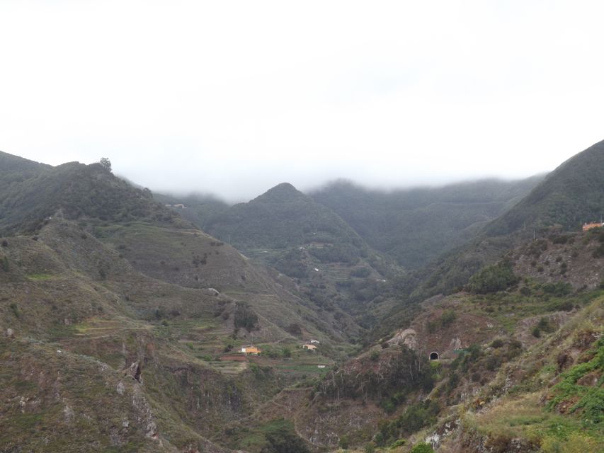 Santa Cruz de Tenerife: 2-Hour Hiking Tour in Anaga Forest - The 2.5-Hour Route: Easy Pace, Real Time Outside