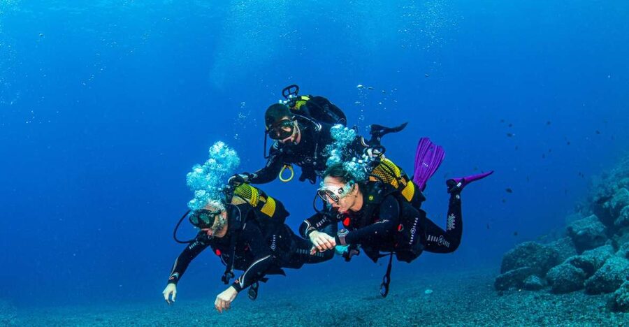 Santa Cruz de Tenerife: Advanced introductory course - Key things to know before you go