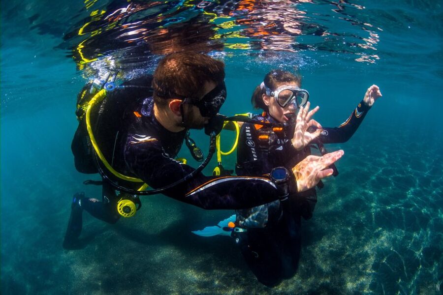 Santa Cruz de Tenerife: Beginner's Diving & Introduction - Key Highlights You Will Actually Care About