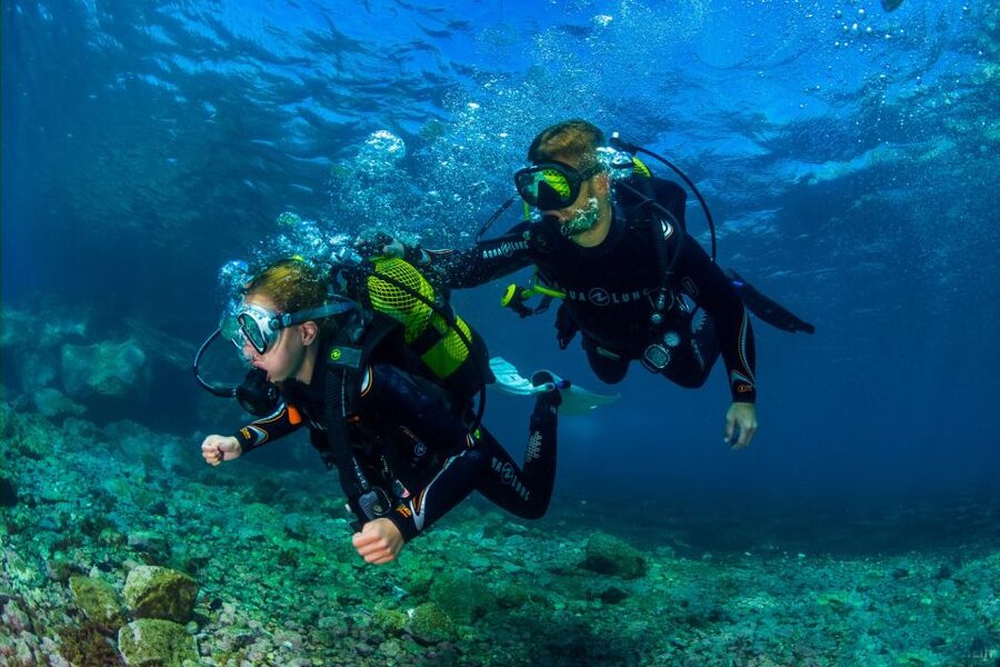 Santa Cruz de Tenerife: Beginner's Diving & Introduction - Santa Cruz Underwater Scuba: What This Experience Really Feels Like