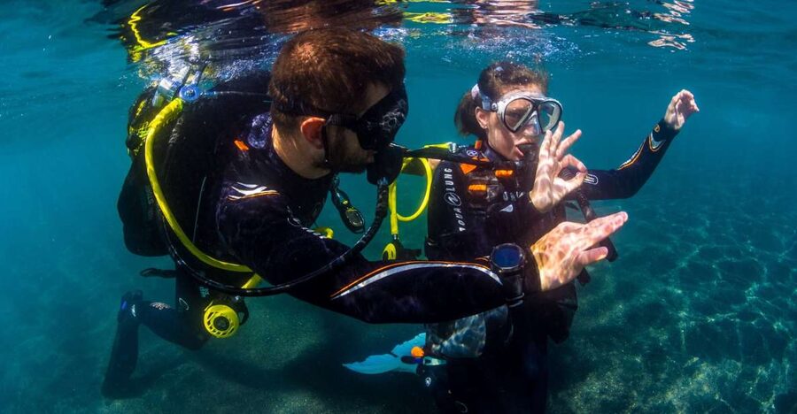 Santa Cruz de Tenerife: Beginner's Diving & Introduction - How the 3-Hour Plan Moves, Step by Step