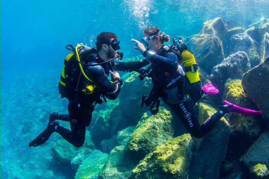 Santa Cruz de Tenerife: Beginner's Diving & Introduction - Flight Timing and One Practical Scheduling Warning