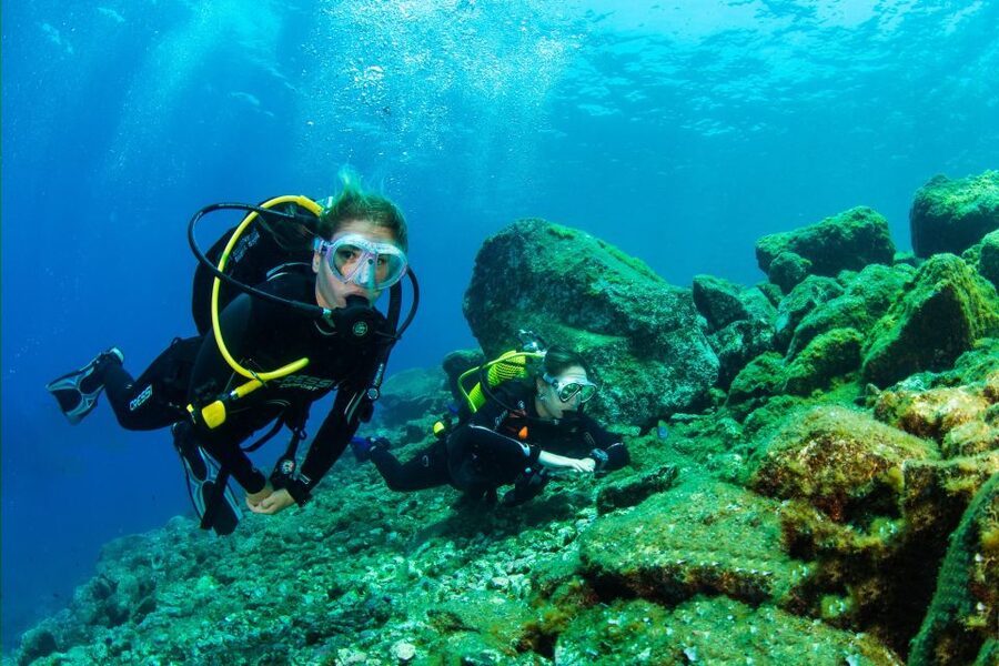 Santa Cruz de Tenerife: Beginner's Diving & Introduction - Where You Start at Macaronesian Divers