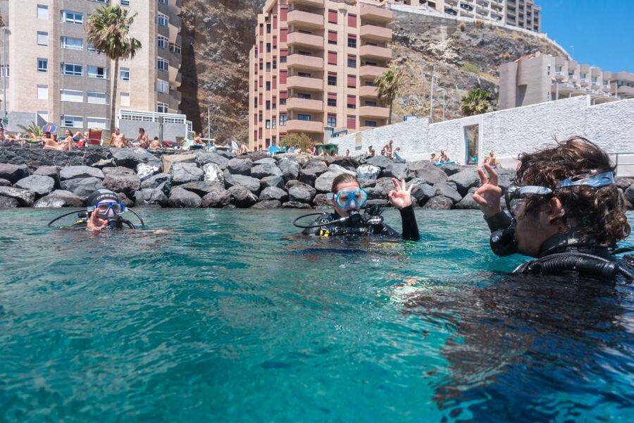 Santa Cruz de Tenerife: PADI Introductory Dive - The 30-minute safety briefing that sets the tone