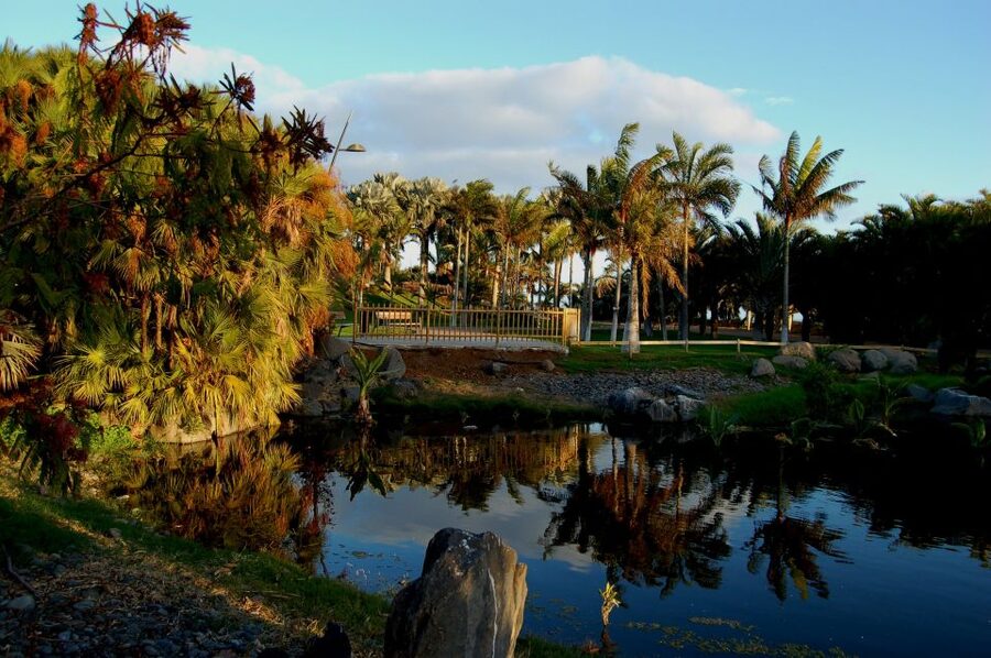 Santa Cruz de Tenerife Palmetum Entry Ticket - Key things that make the Palmetum ticket worth your time
