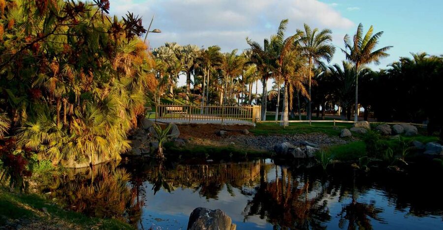 Santa Cruz de Tenerife Palmetum Entry Ticket - A landfill turned palm park with sea-and-city viewpoints