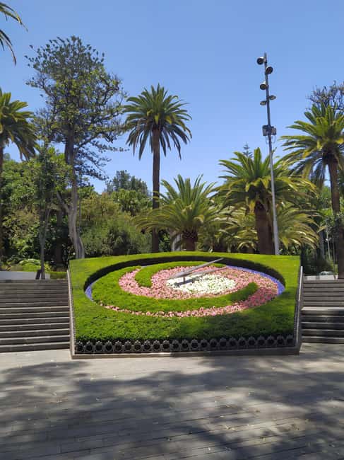 Santa Cruz de Tenerife: Prestigious Places Walk - Price and value: is $106 worth 1.5 hours?