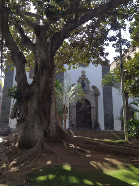 Santa Cruz de Tenerife: Prestigious Places Walk - Plaza de España, the Monumento a los Caídos, and how the guide sets the tone