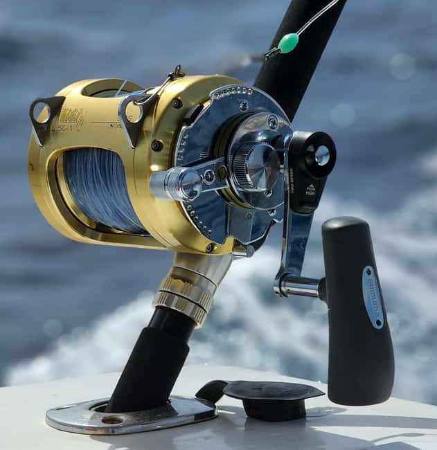Santa Cruz de Tenerife: Private Family Fishing Tour - What fish you might catch, and why season matters