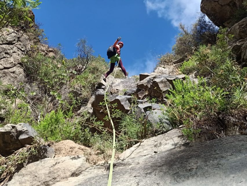 Santa Cruz de Tenerife: Vilaflor Canyoning Tour - Who This Tour Fits Best (and Who Should Skip It)
