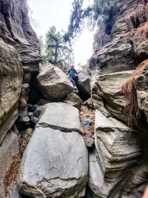 Santa Cruz de Tenerife: Vilaflor Canyoning Tour - Price and Value: Is $77 Worth It?